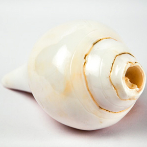 बजने वाला शंख (Blowing Conch)